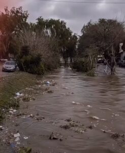 Descripción de la imagen