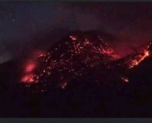 Descripción de la imagen