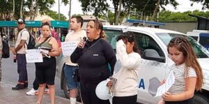 Descripción de la imagen