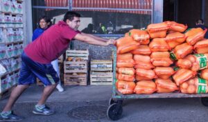 Descripción de la imagen