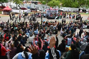 Descripción de la imagen