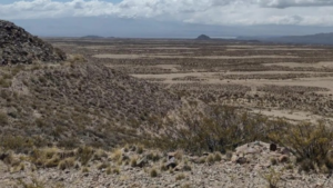 Descripción de la imagen