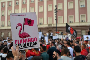Descripción de la imagen