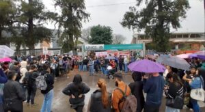 Descripción de la imagen