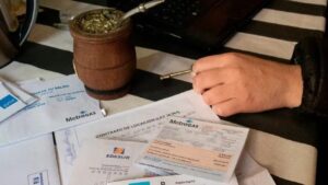 Descripción de la imagen