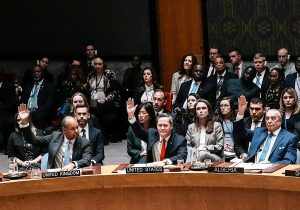 Descripción de la imagen