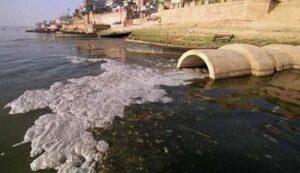 Descripción de la imagen