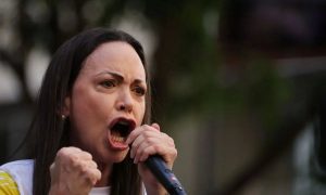 Descripción de la imagen