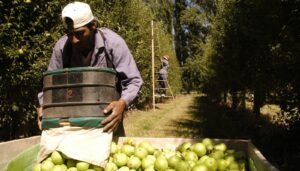 Descripción de la imagen