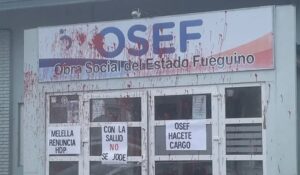 Descripción de la imagen