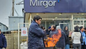 Descripción de la imagen