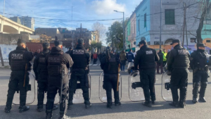 Descripción de la imagen