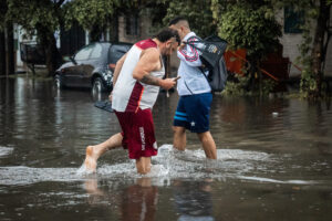 Descripción de la imagen