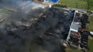 Descripción de la imagen