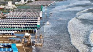 Descripción de la imagen