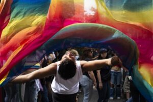 Descripción de la imagen