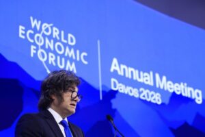 Descripción de la imagen