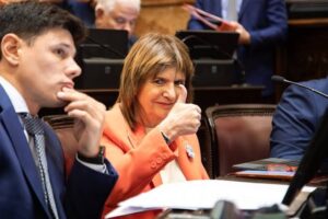 ¿Recule o maniobra? La trampa del tope del 25% para avanzar con la extranjerización de la tierra