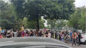 Descripción de la imagen