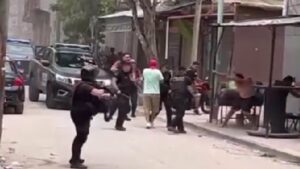 Descripción de la imagen