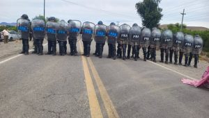 Descripción de la imagen