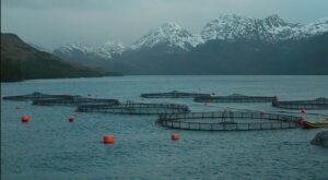 Descripción de la imagen