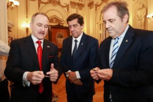 Descripción de la imagen