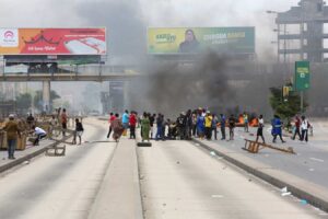 Descripción de la imagen