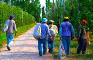 Descripción de la imagen