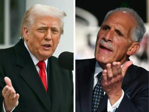 Descripción de la imagen