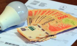 Descripción de la imagen