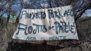 Descripción de la imagen