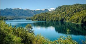 Descripción de la imagen