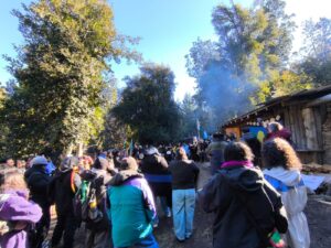 Neuquén: caravana y festival en Lof Melo en el Día Internacional de la Mujer Originaria