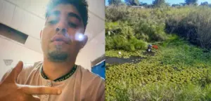 Descripción de la imagen