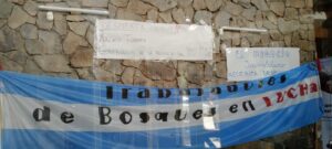 Descripción de la imagen