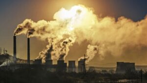 Descripción de la imagen