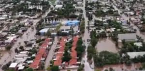 Descripción de la imagen