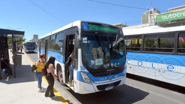 colectivo linea 29