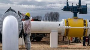 Descripción de la imagen