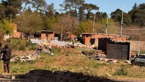 Descripción de la imagen