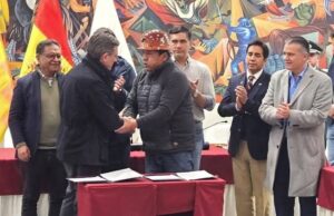 Descripción de la imagen