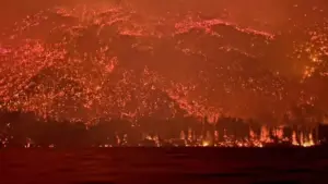 Descripción de la imagen