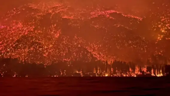 La "inviolabilidad" de los negocios capitalistas sobre las cenizas de bosques y humedales