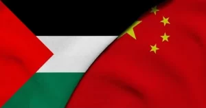 Descripción de la imagen