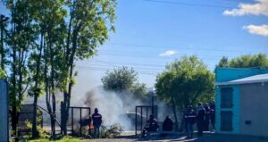 Descripción de la imagen