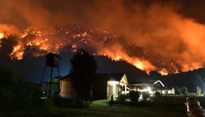 Descripción de la imagen