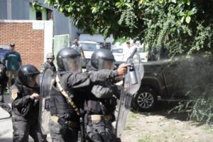 Descripción de la imagen