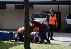 Descripción de la imagen