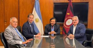 Descripción de la imagen